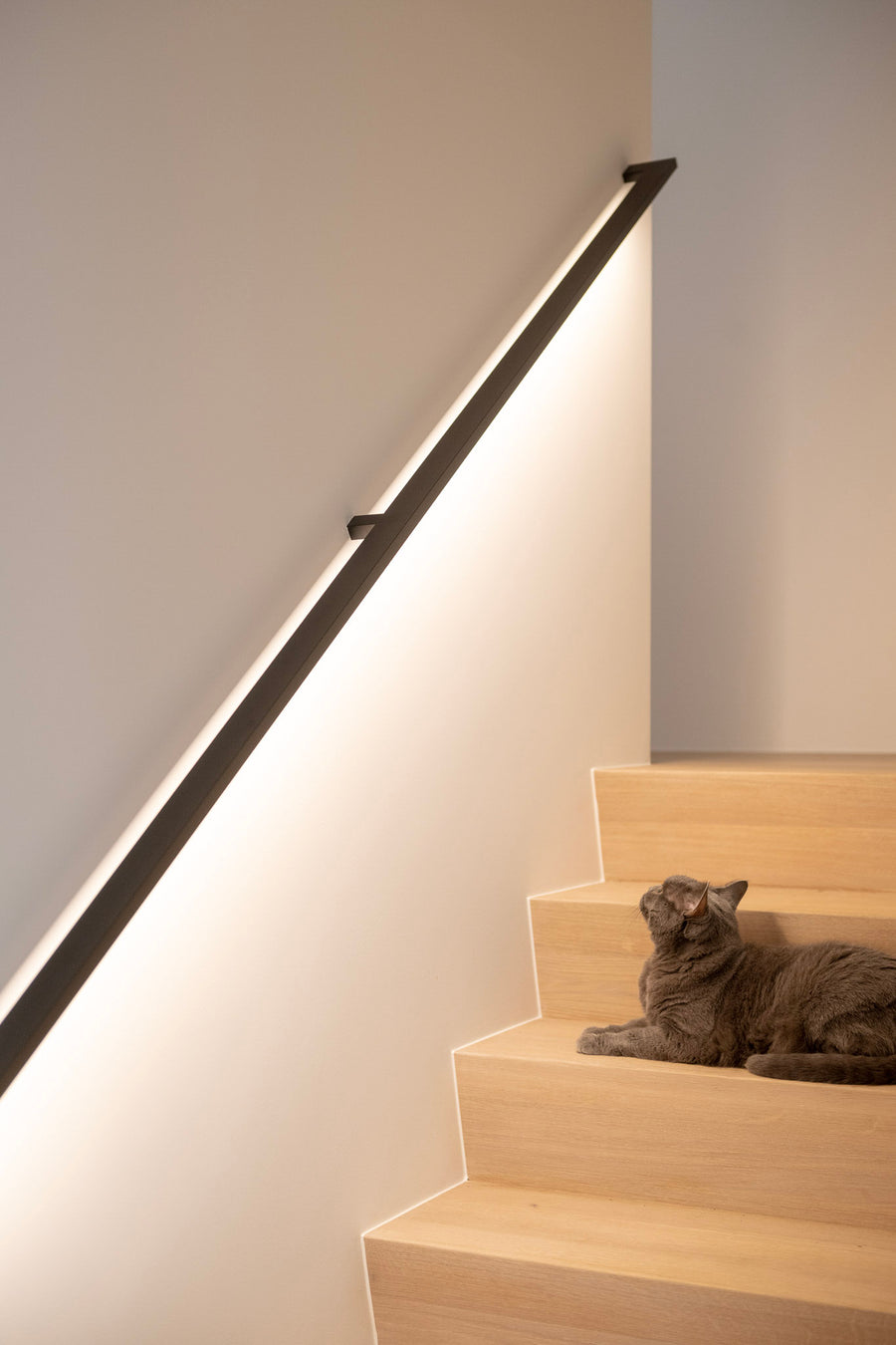 Ledgrip trapleuning met ledverlichting
